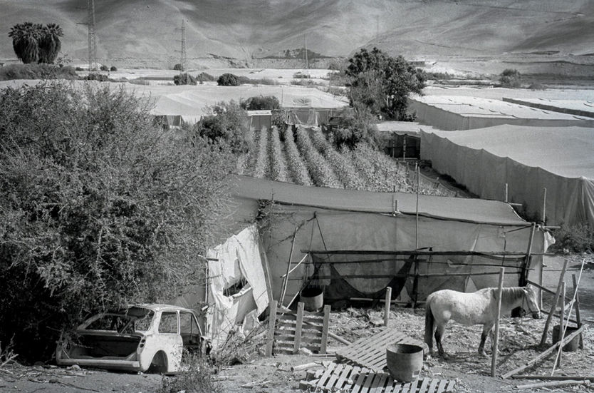 Triplefrontera migrante