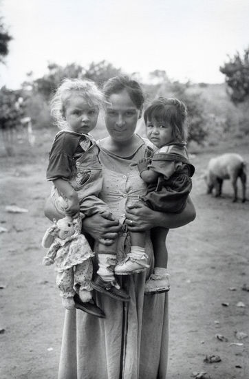 Los campos de algodón