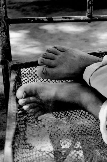 Los campos de algodón