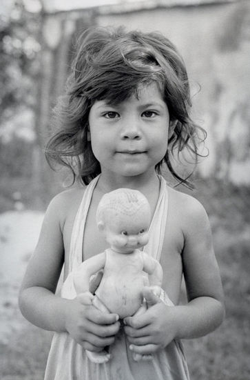 Los campos de algodón