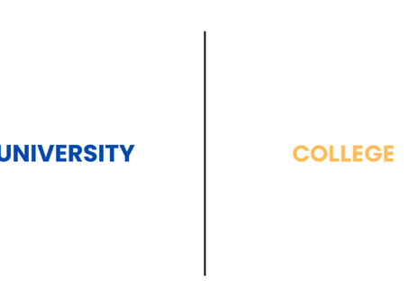 University vs College: Which One Fits Your Study Abroad Dream?