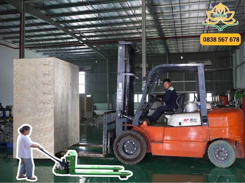 Các Loại Xe Nâng Phổ Biến Hiện Nay Và Ứng Dụng Trong Nhà Xưởng