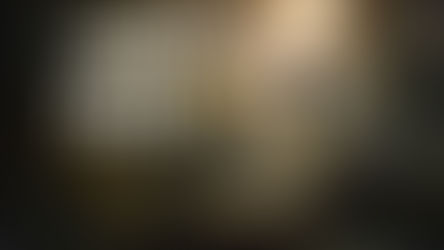 Birds Can Talk? How One Scientist Cracked the Hidden Language of the Forest 