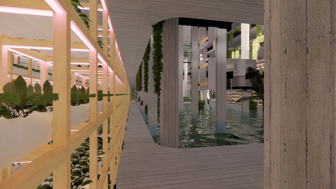 Gång mellan växtsystem och vattenbassänger i Luleå Stadsodling.