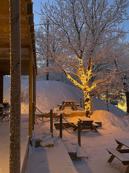 Snötäckt altan med träd och belysning vid sjön.