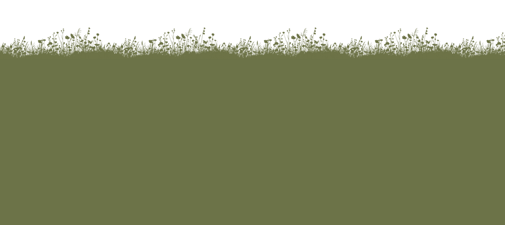 Silhuett av gräs, vildblommor och fjärilar som används som dekorativ bakgrund i webbplatsens sidfot.