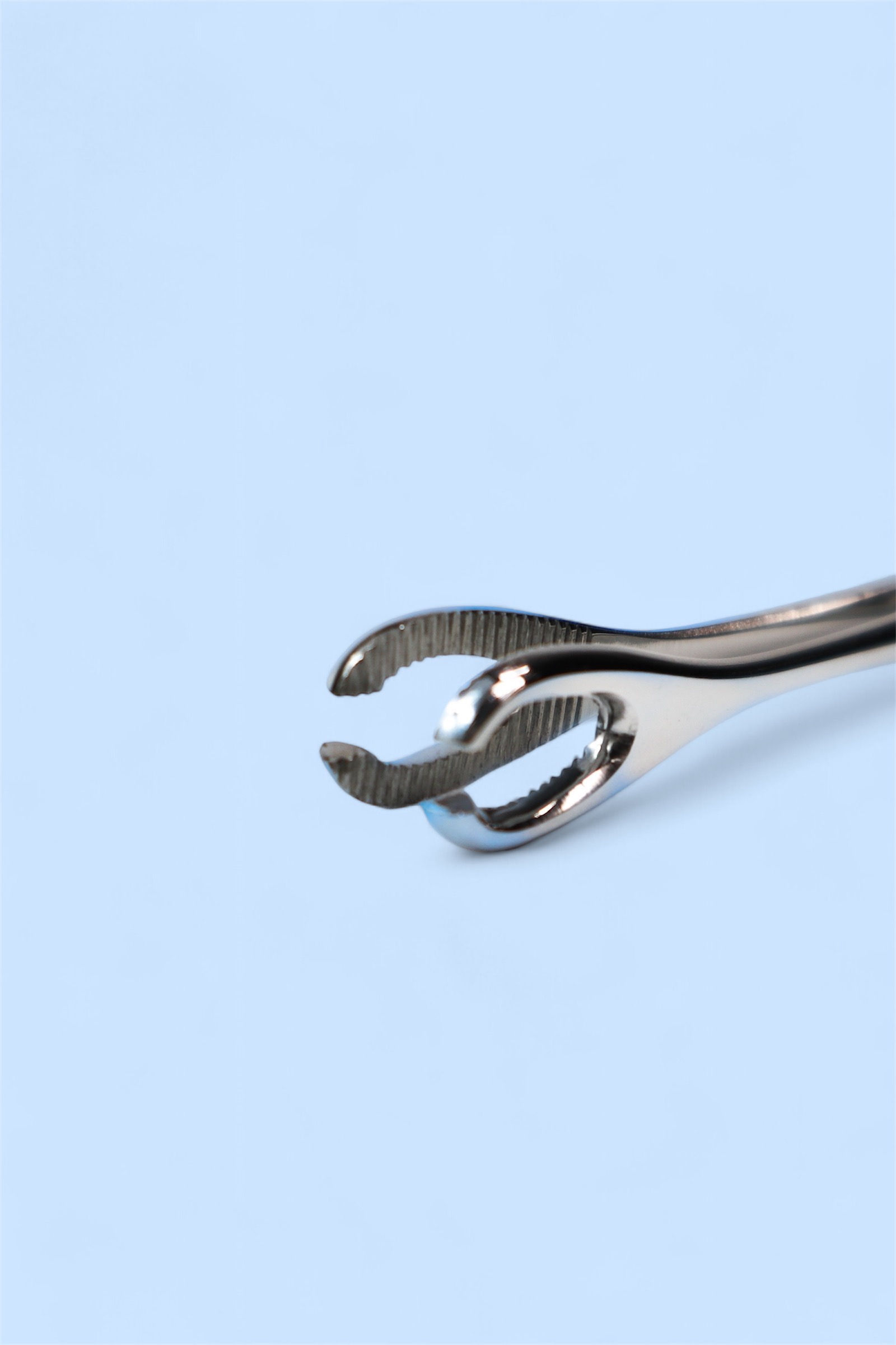 Small Oval Piercing Forceps