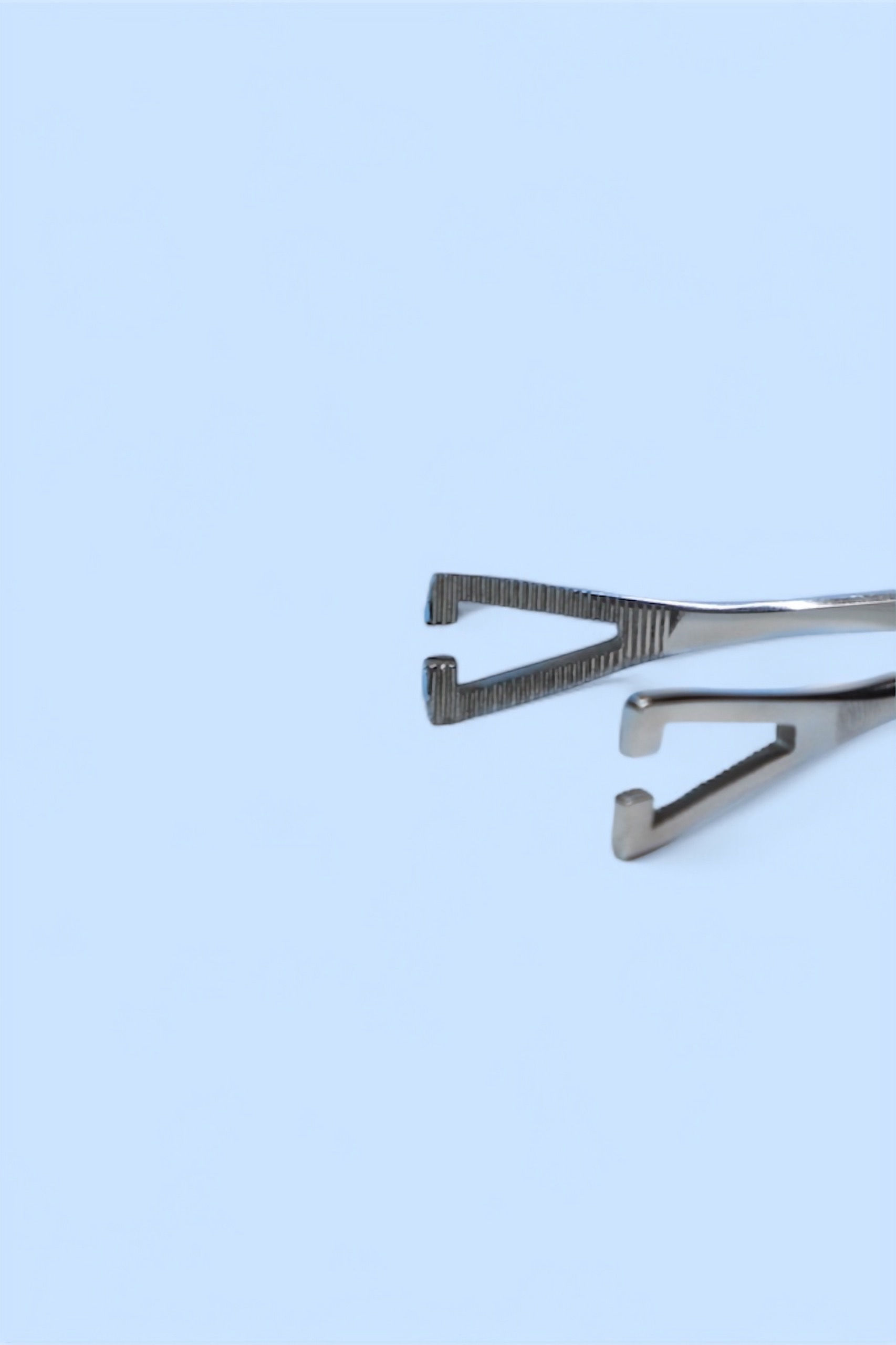 Mažosios Penningtono žnyplės