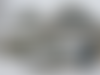 Budget Technician outside North Vancouver home