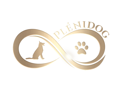 Logo Plenidog vector gold (2).png