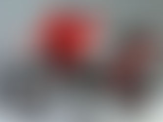 Dualsport Trials - developing motorcycle motorsport genre.