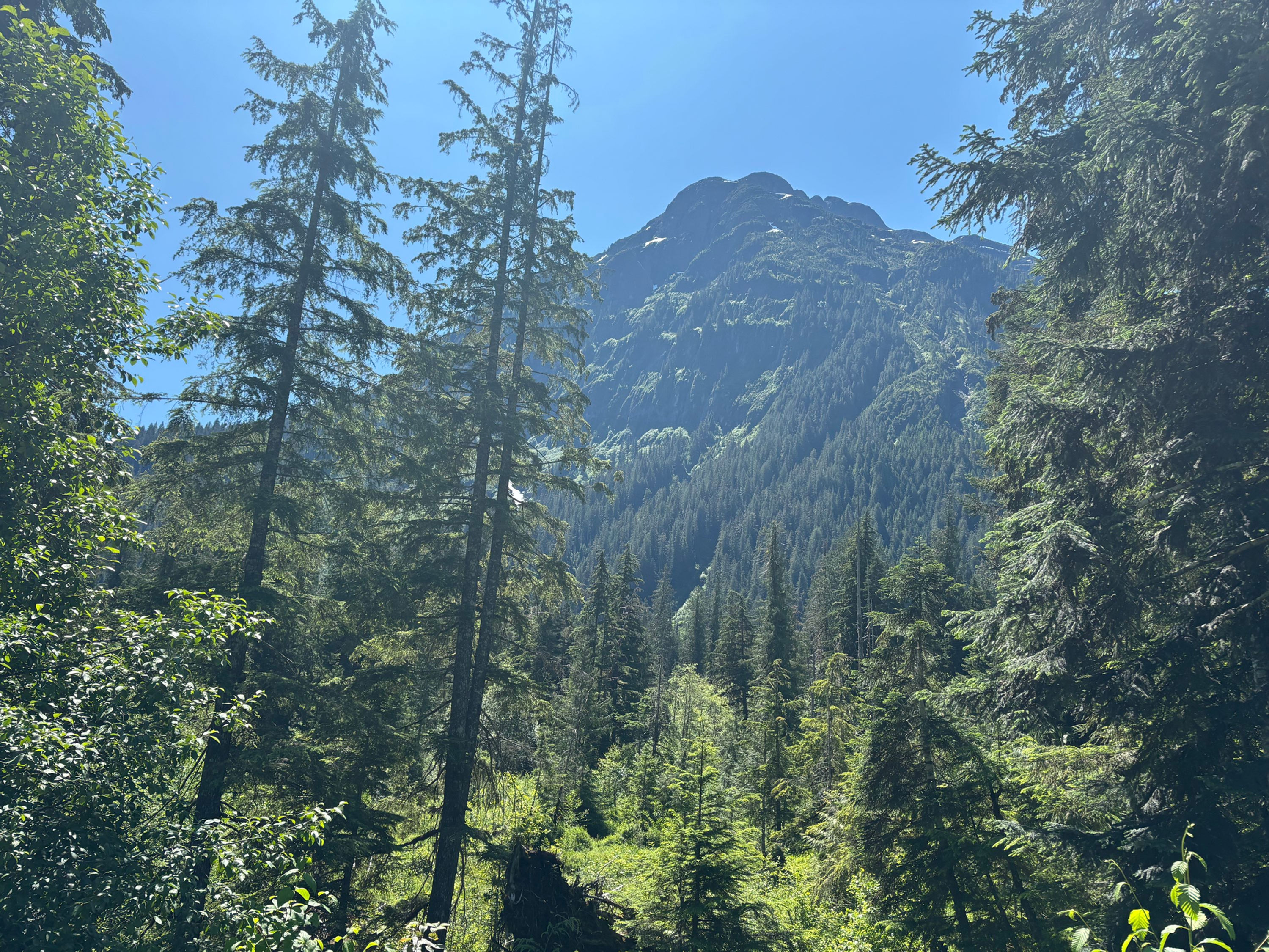 24 Heures du GoldRiver - the Vancouver Island Touring Trial.  