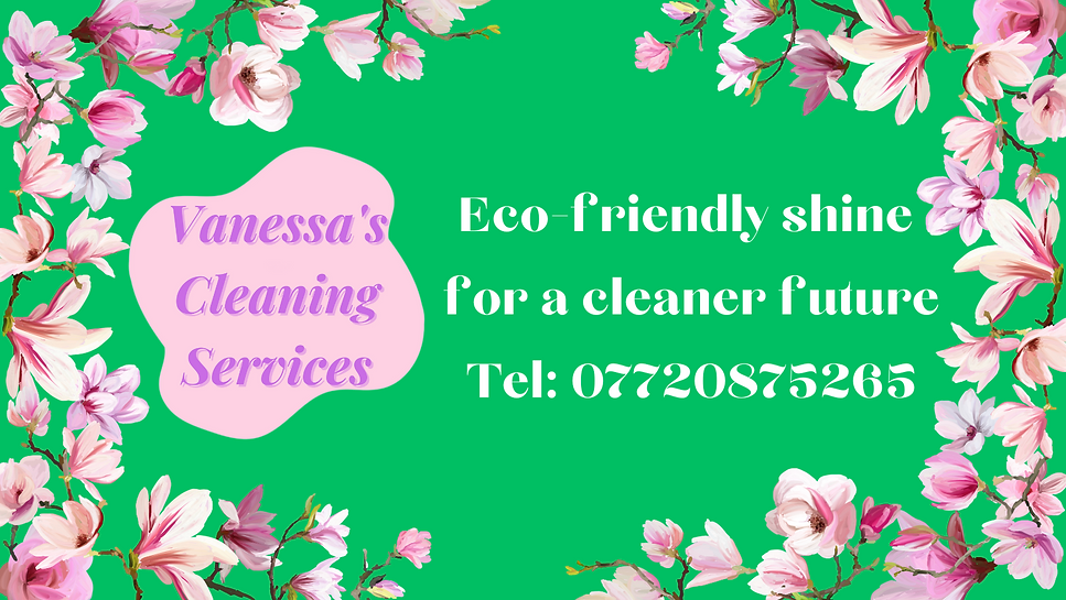 Clean Home. Professional Service. Fair Price..png