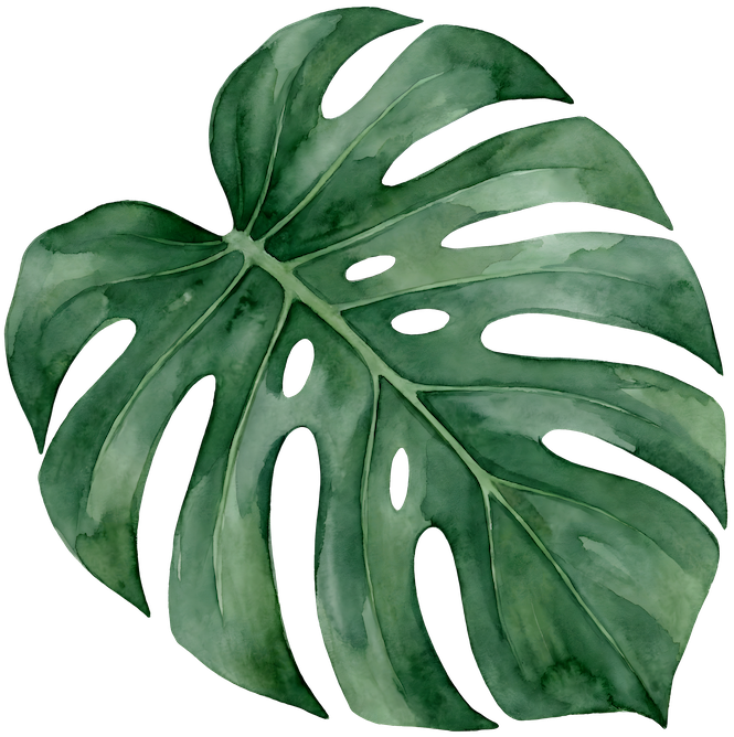 Monstera PEQ_edited.png