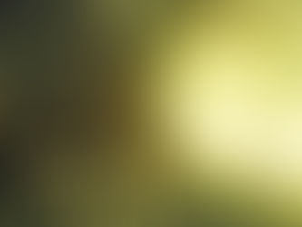 Willow et Bunny / Anitra Rowe Schulte & Christopher Denise
(Kaleidoscope, 2024)