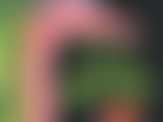 Le Grand livre des sorcières / Benoît Debecker
(Saltimbanque, 2025)