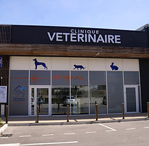Clinique veterinaire vetodoc serignan.jpg