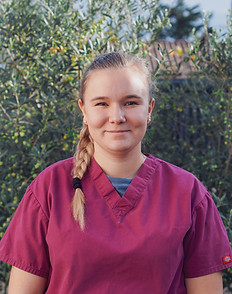 léa eckstein asv vetodoc