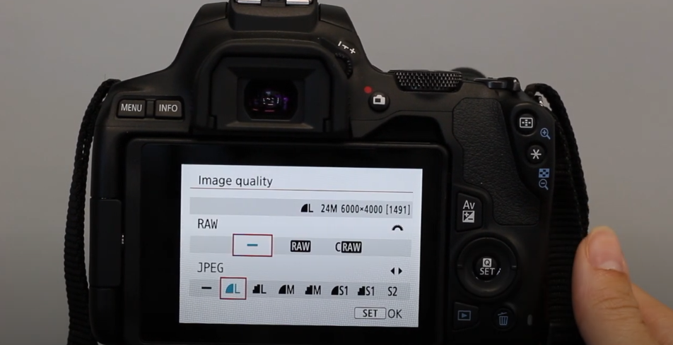 Setting the camera image quality to Low
