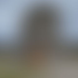 Culloden Battlefield