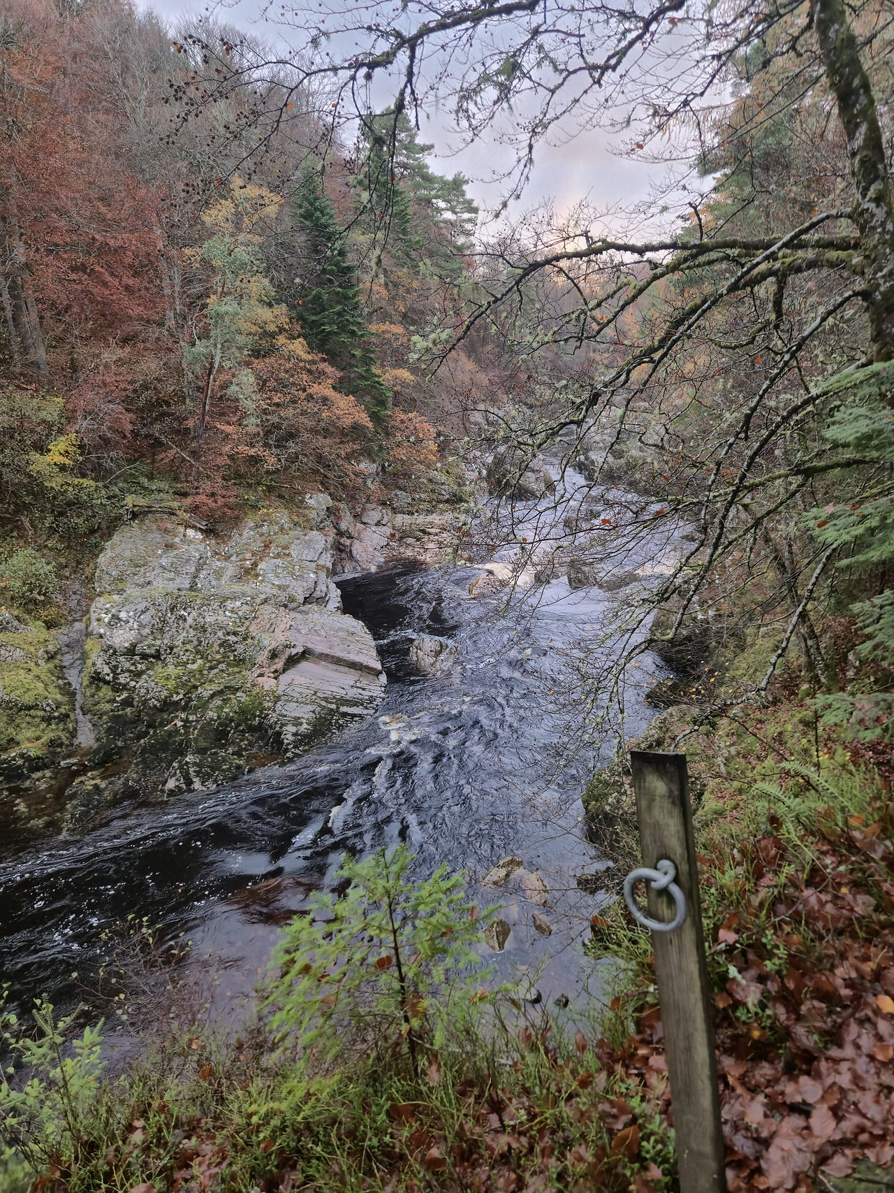Randalphs Leap
