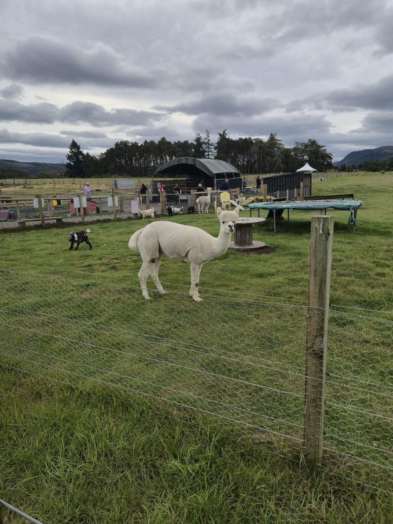 Ness Farm