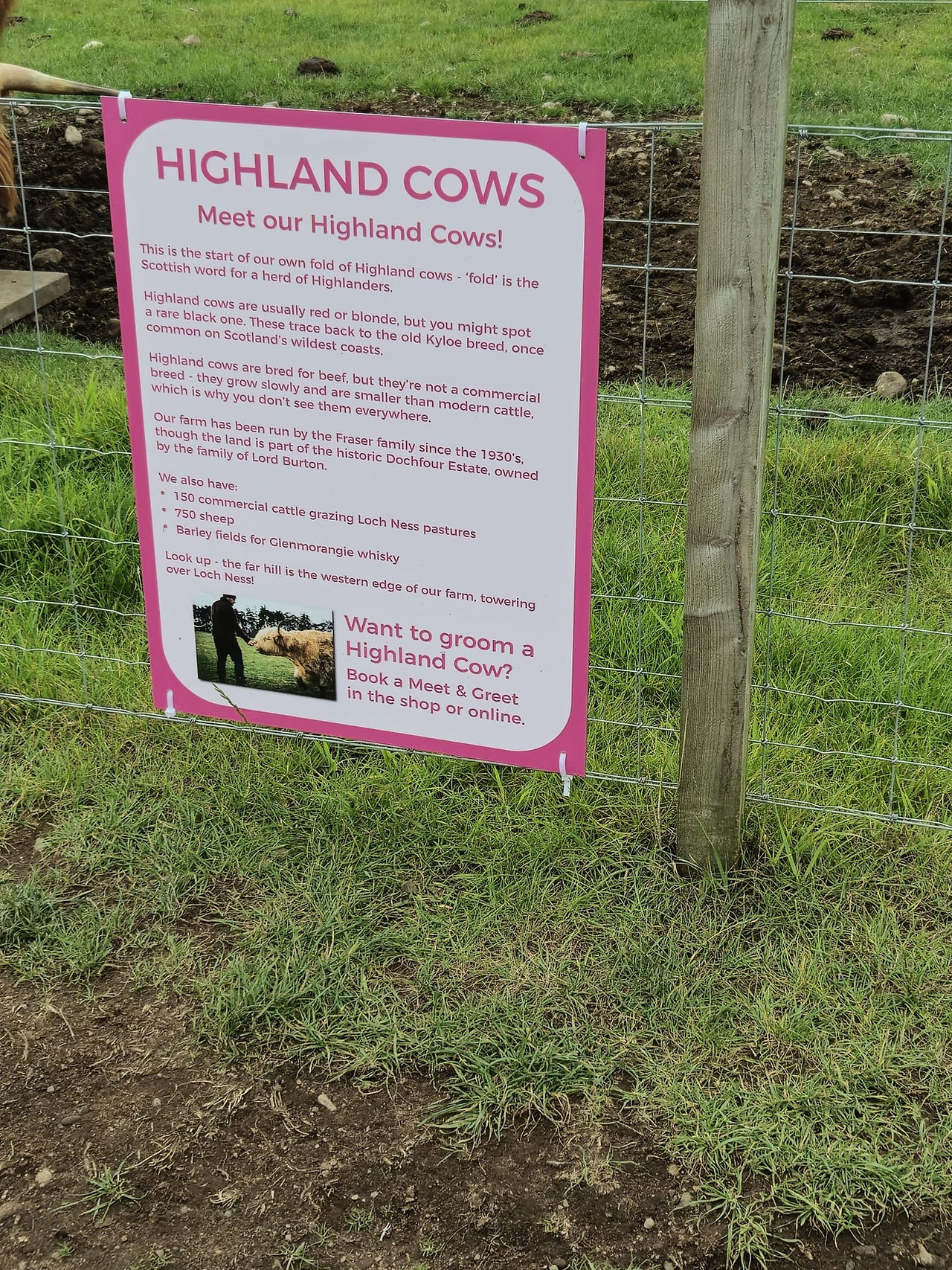 Ness Farm