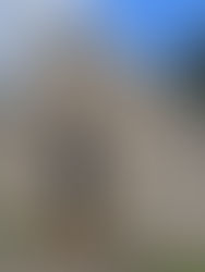 Inveraven Church & Pictish Stones