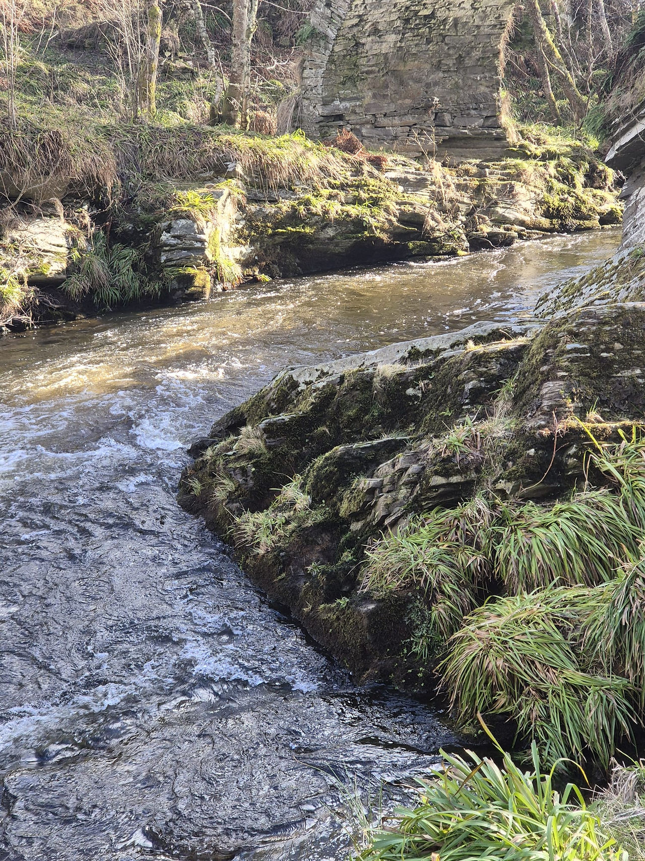 Old Bridge of Livet