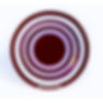 red-circle-bowl_orig.jpg