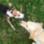 Siggi & Jack