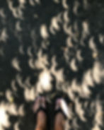 Eclipse Shadows