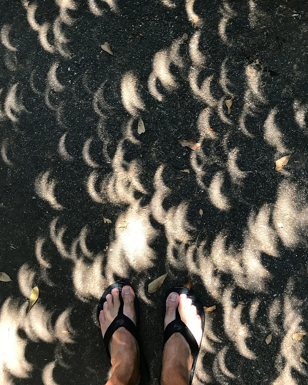 Eclipse Shadows