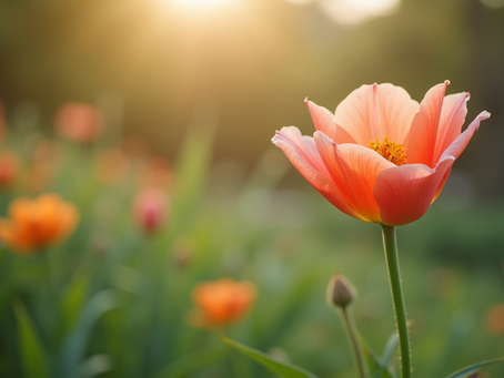 Poem about the love you are willing to receive