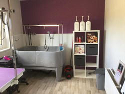 20245582_450486218643651_8046949818207261212_n