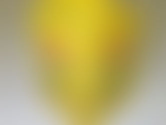 新しい募金箱を設置しました!