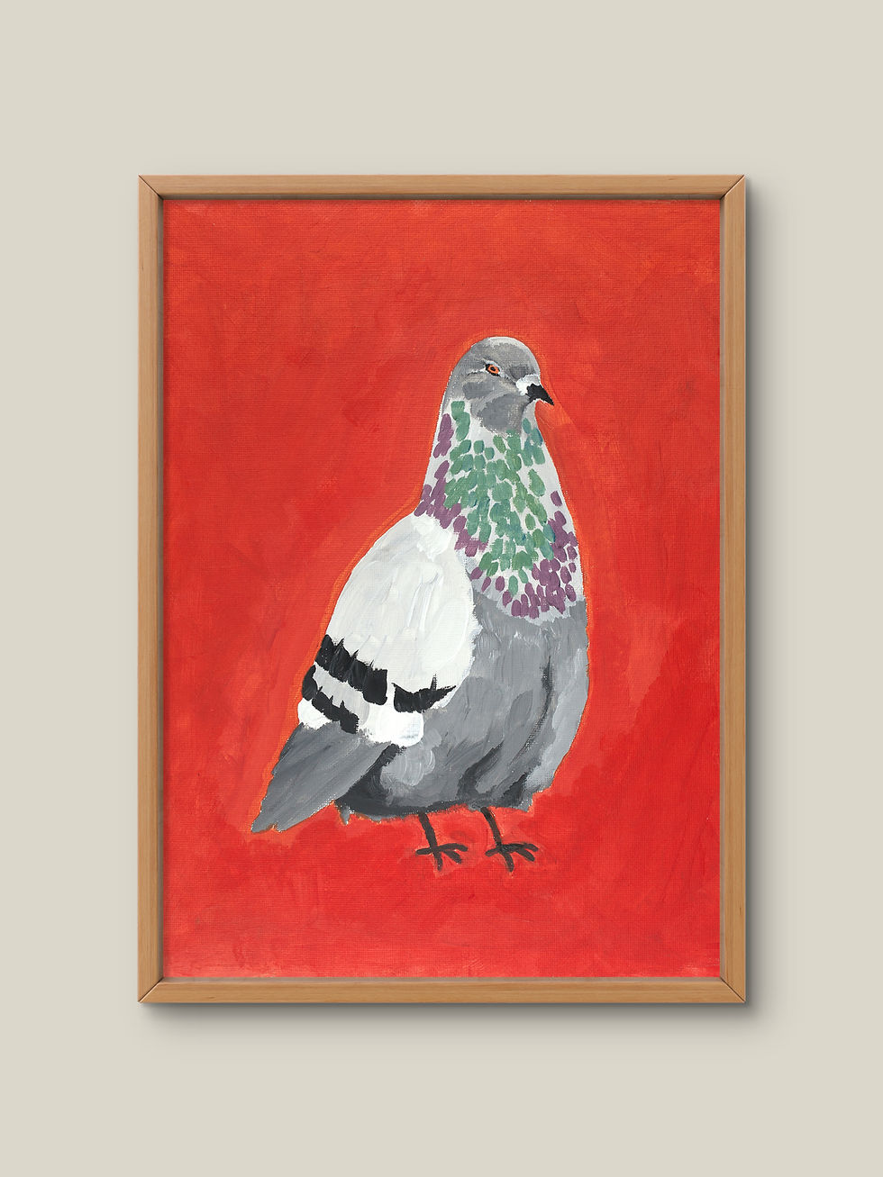 Pigeon