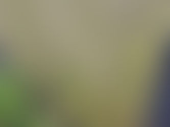 Czynem chuligańskim nastolatków z Fordonu zajmie się sąd…