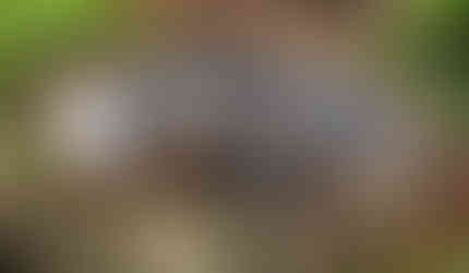 a wooden tray with black and white symbols on it