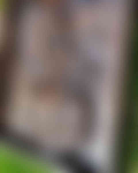 a wood carving of a woman with a wolf on her head