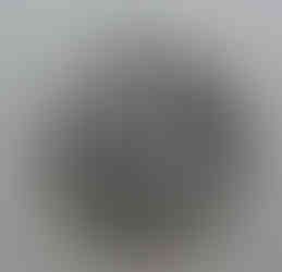 a black and white celtic design of a wolf in a circle