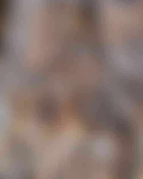 a wood carving of a woman with a wolf on her head