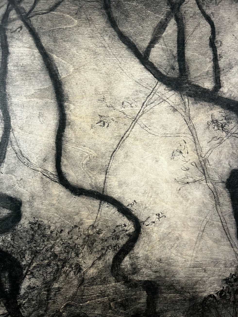 Miniaturbild: Veins of the forest