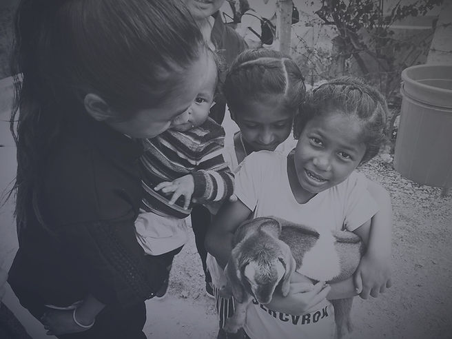 NCF girl goat_edited_edited.jpg