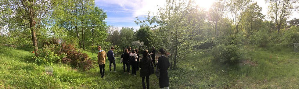 Farjenas Forest Garden