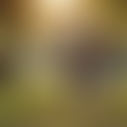 Renforcez les sentiments dans votre relation.