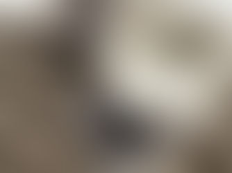 Interlined Curtains - Energy Efficient Curtains !