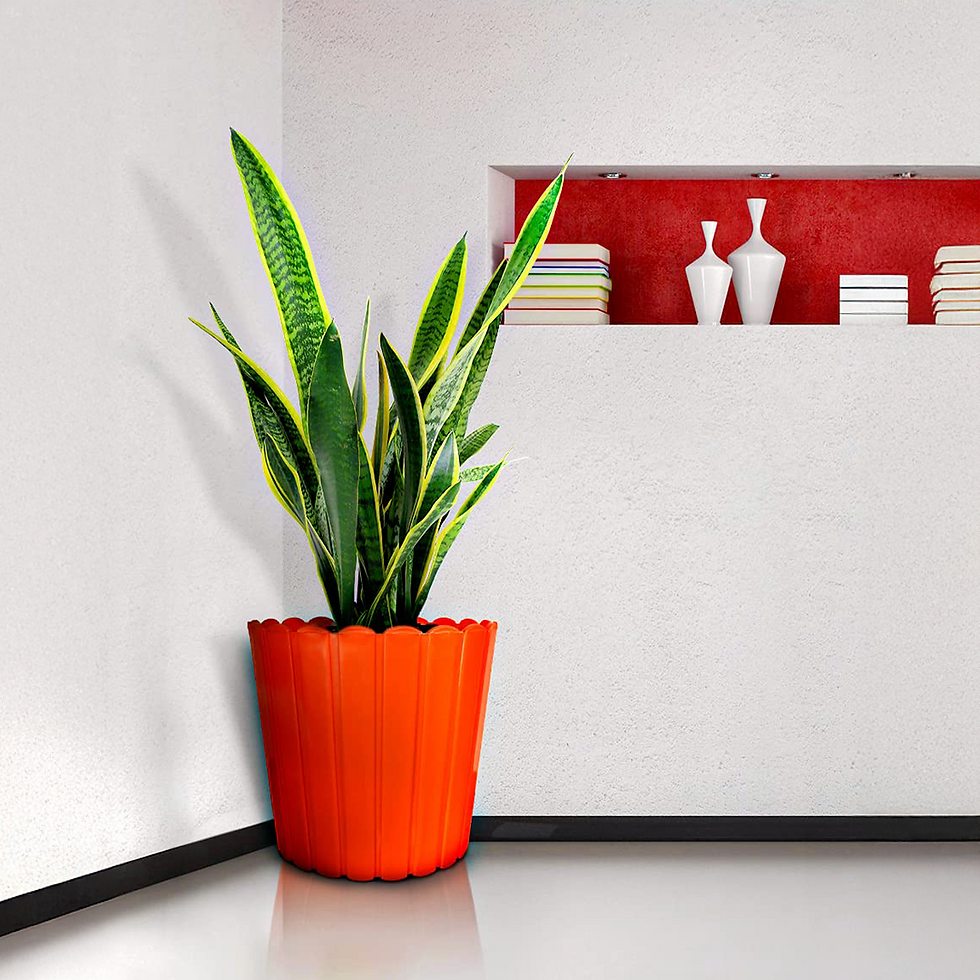 Garden's Need — 12 inch (30 cm) Thai Planters Lightweight & UV Resistant (Set of 2)