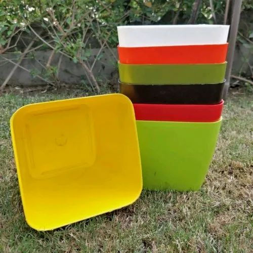 Garden's Need — Four Square -6" Fresh — 15.24 cm (6")