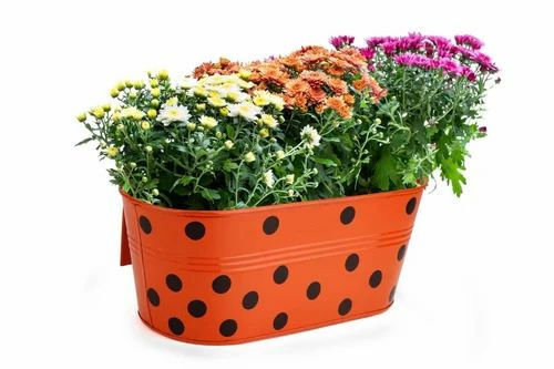 Garden's Need — Oval Railing Planters — 10 Inch